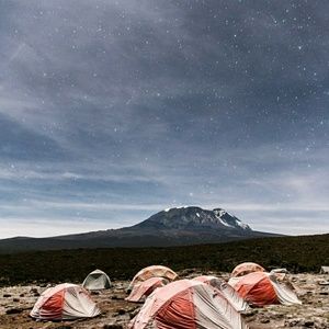 Meet your Posher, Karla